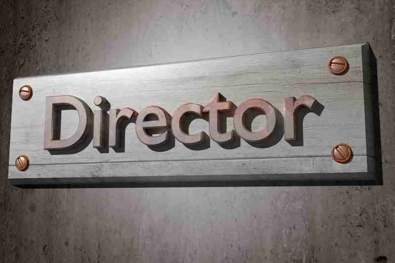 Challenges in the Company Director Search Process in the Digital Era