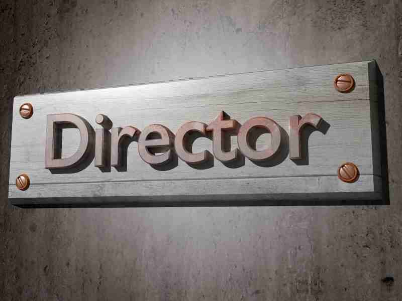 Company Director Finder