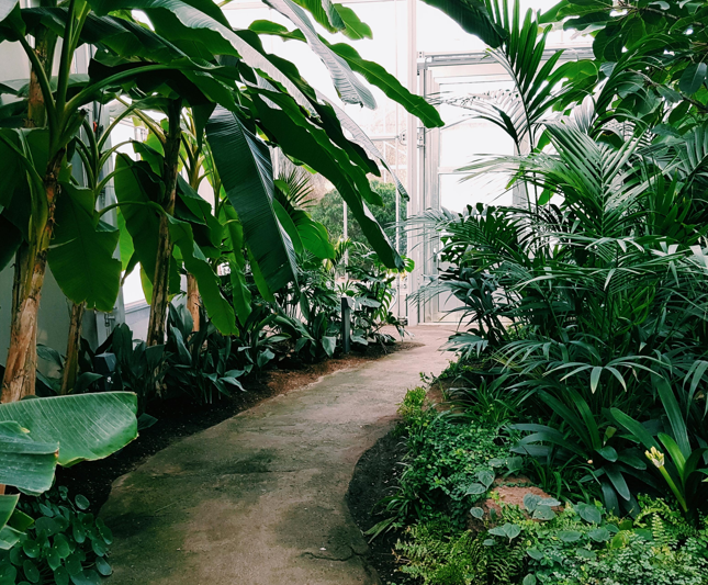 Mengenal Lebih Dekat Tujuan Sertifikasi Green Building