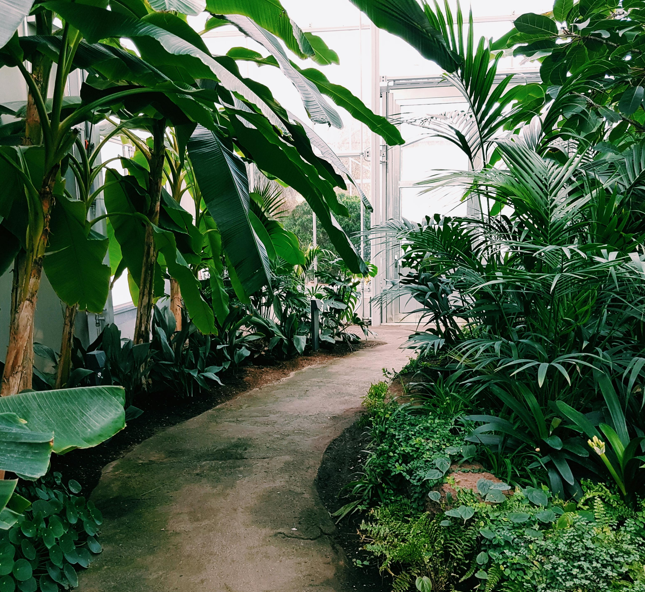 Ilustrasi Sertifikasi Greenship